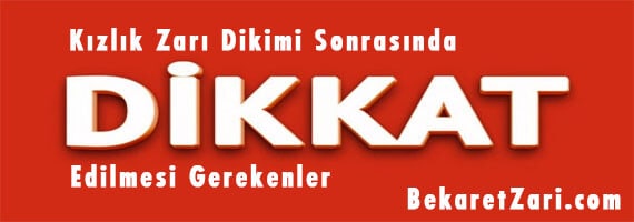 kızlık zarı dikimi sonrası dikkat edilmesi gerekenler